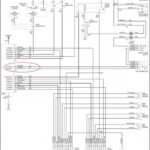 1999 Dodge Dakota Stereo Wiring Diagram Pics Wiring Collection