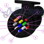 8 Pin Trailer Wiring Diagram Bi Racial Marriage